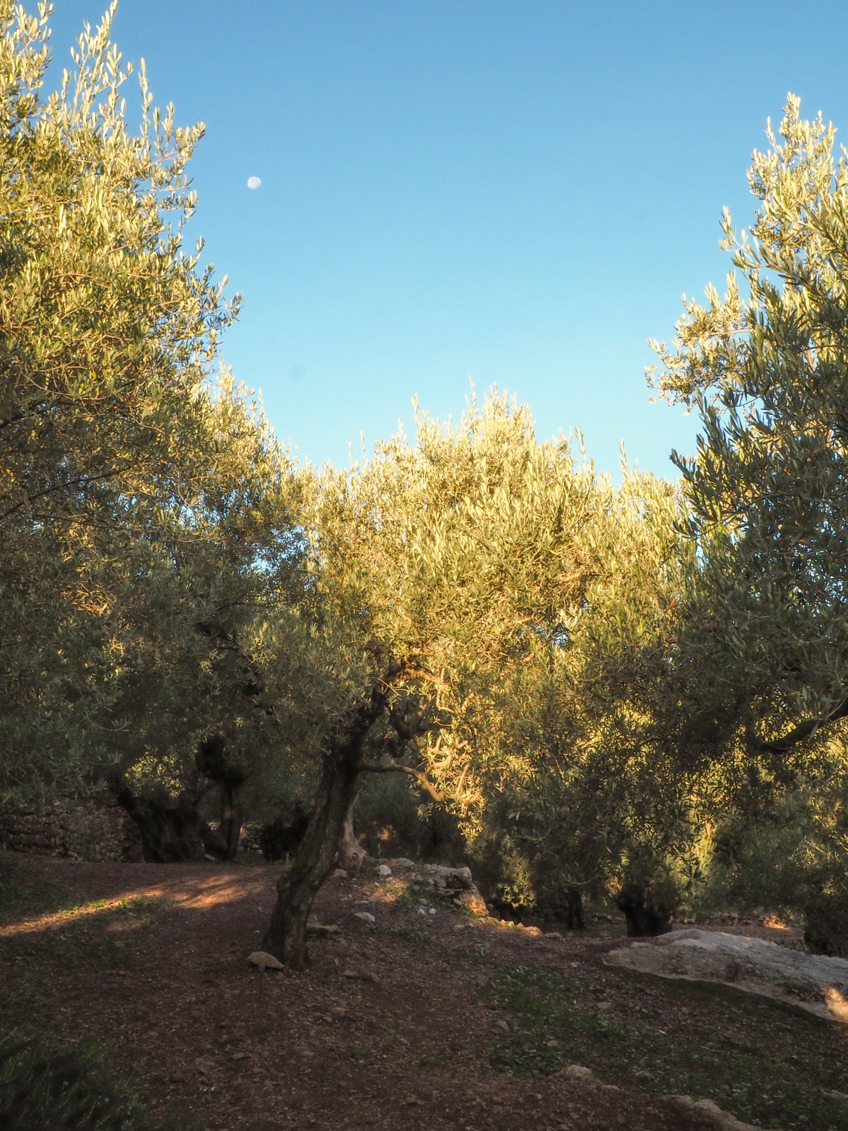 Una oda al mediterráneo